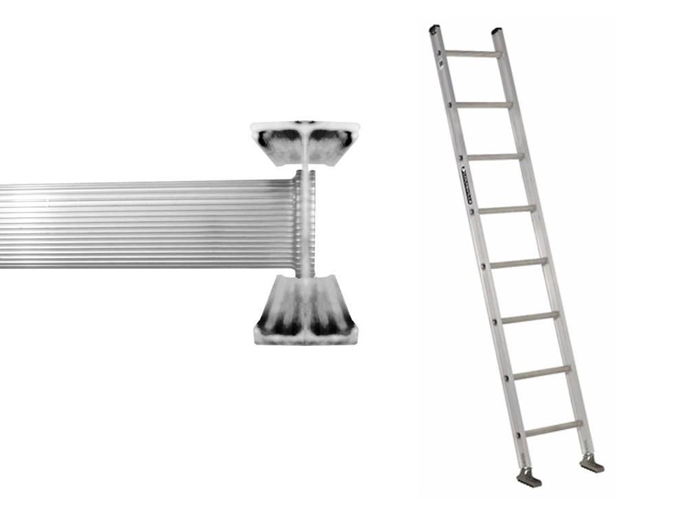 Steps of ladder